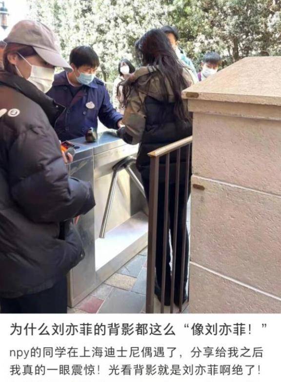 迪士尼偶遇刘亦菲，身材娇小玲珑，网友表示羡慕至极