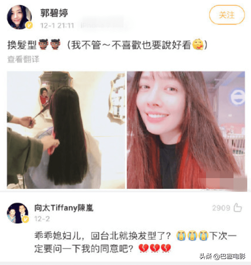 向佐被爆出轨，回看郭碧婷“跪走”的豪门路，一家子都是M或草作