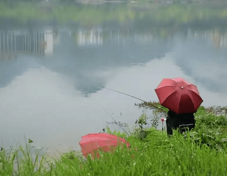 盛夏钓鱼，记住3句话，天再热，大鱼也会一条接一条，连竿到手软