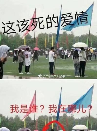 搞笑段子集：一所大学运动会现场，哈哈哈，现场虐狗，厉害了！